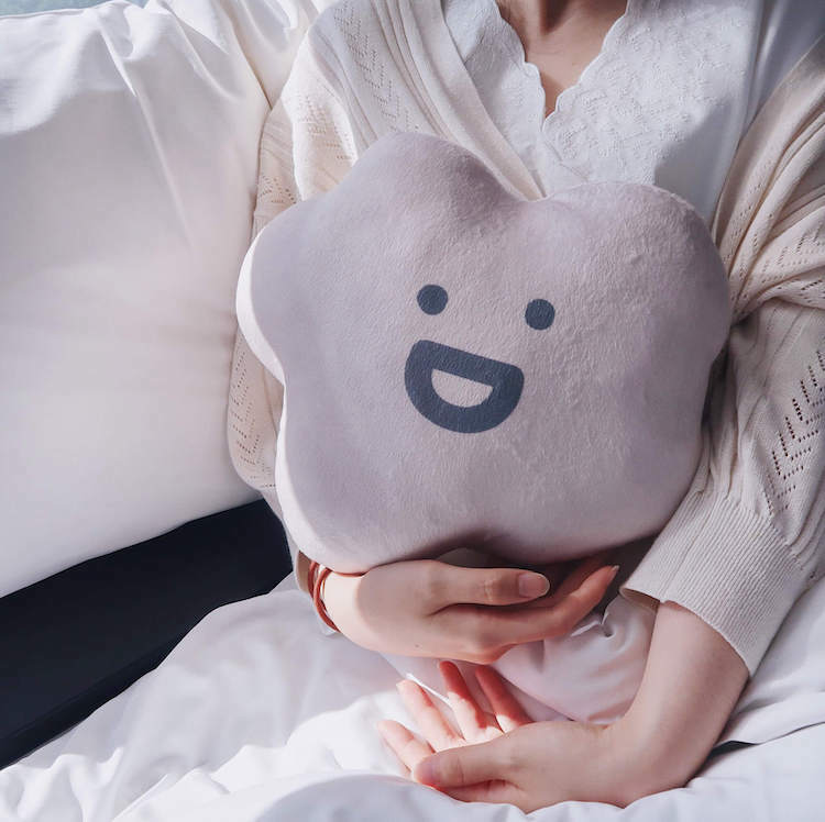 樂樂 抱枕 1.0