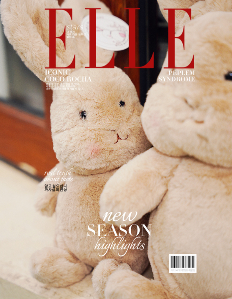 Danmark bunny best friend