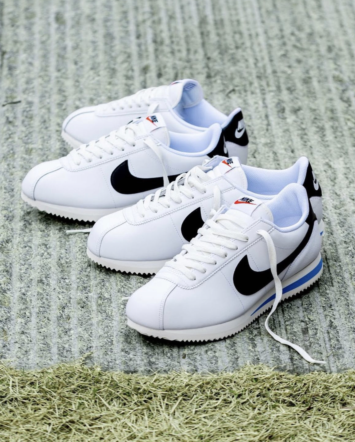 nike cortez nm qs