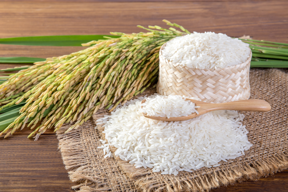 米蛋白是什麼？一篇掌握米蛋白好處及營養價值，取代麩質擺脫過敏困擾