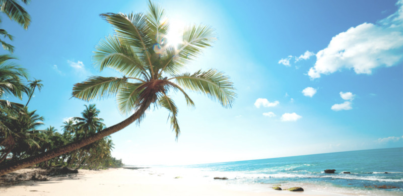 【電子票】墾丁國家森林遊樂區+鵝鑾鼻公園聯票海邊