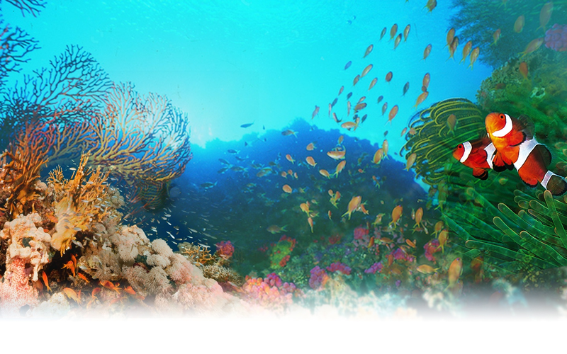 【電子票】墾丁國家森林遊樂區+鵝鑾鼻公園聯票海底