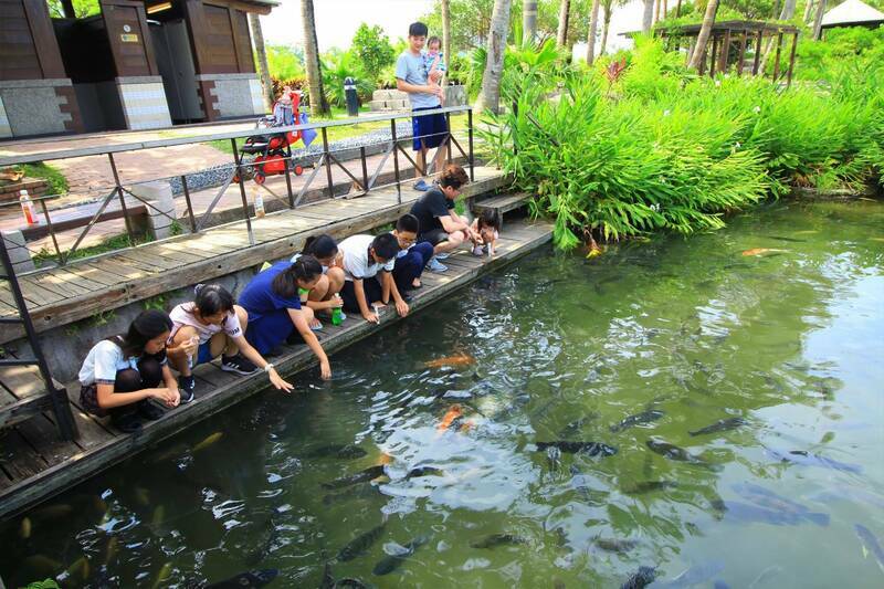 【電子票】●花蓮立川漁場-餵魚