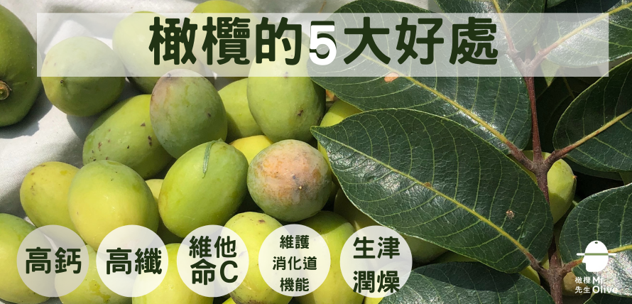 橄欖好處介紹