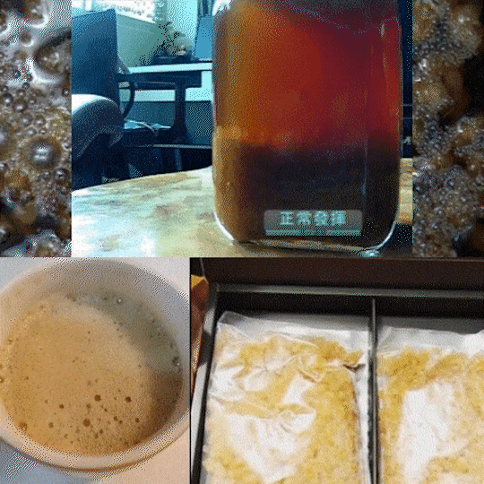 水克｜water kefir grains
