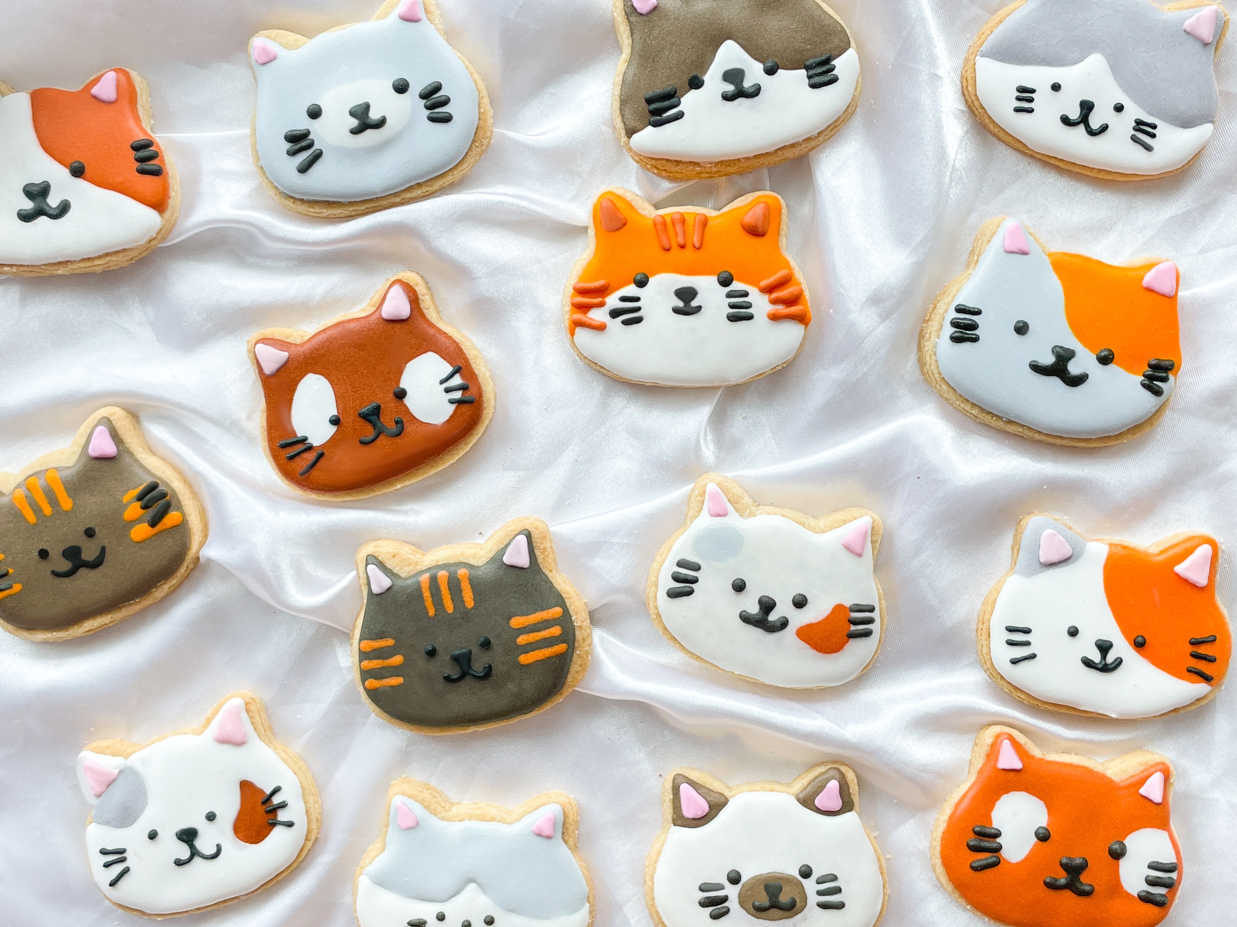 貓仔糖霜曲奇餅