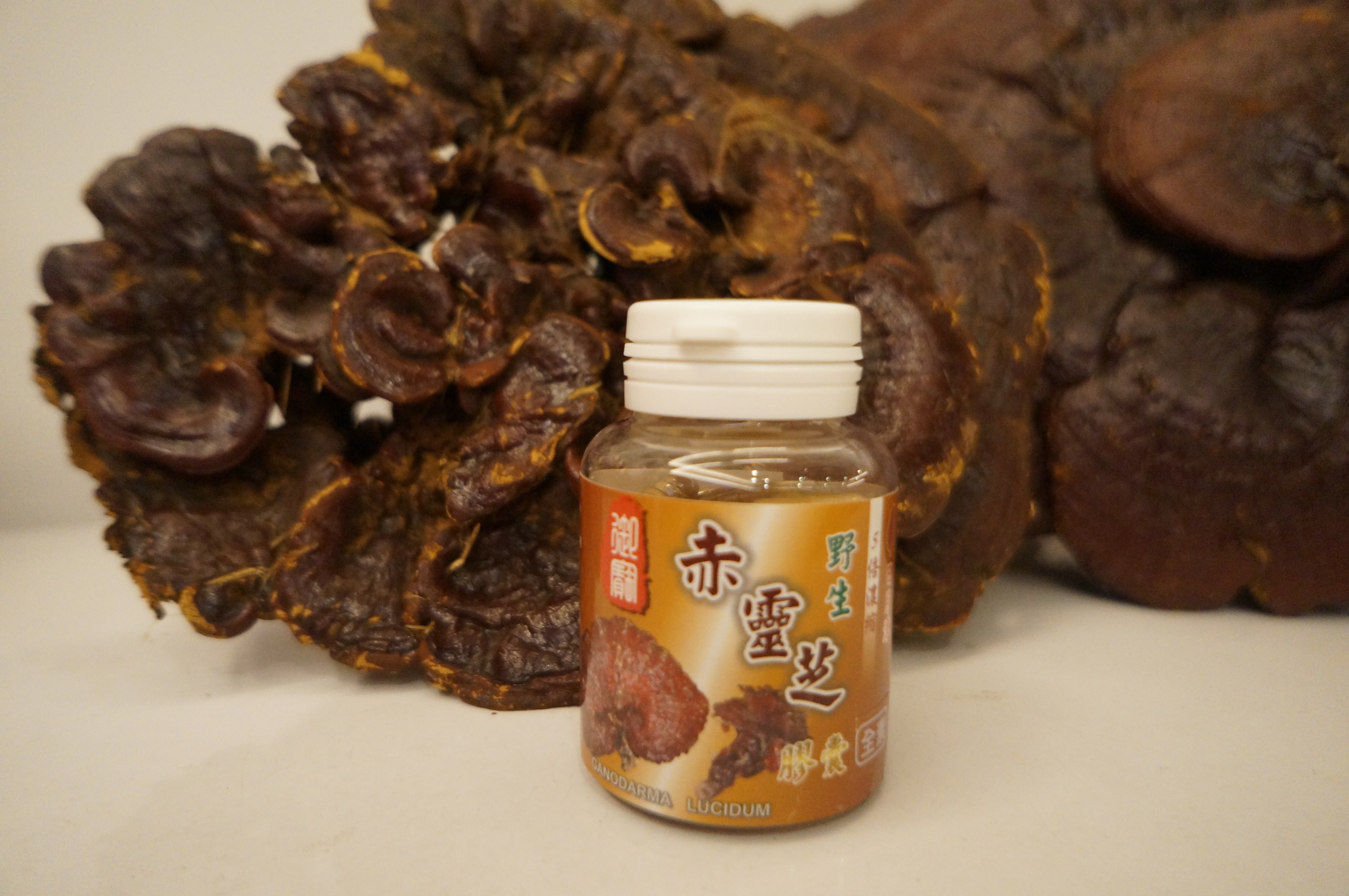 野生赤靈芝膠囊 (小)