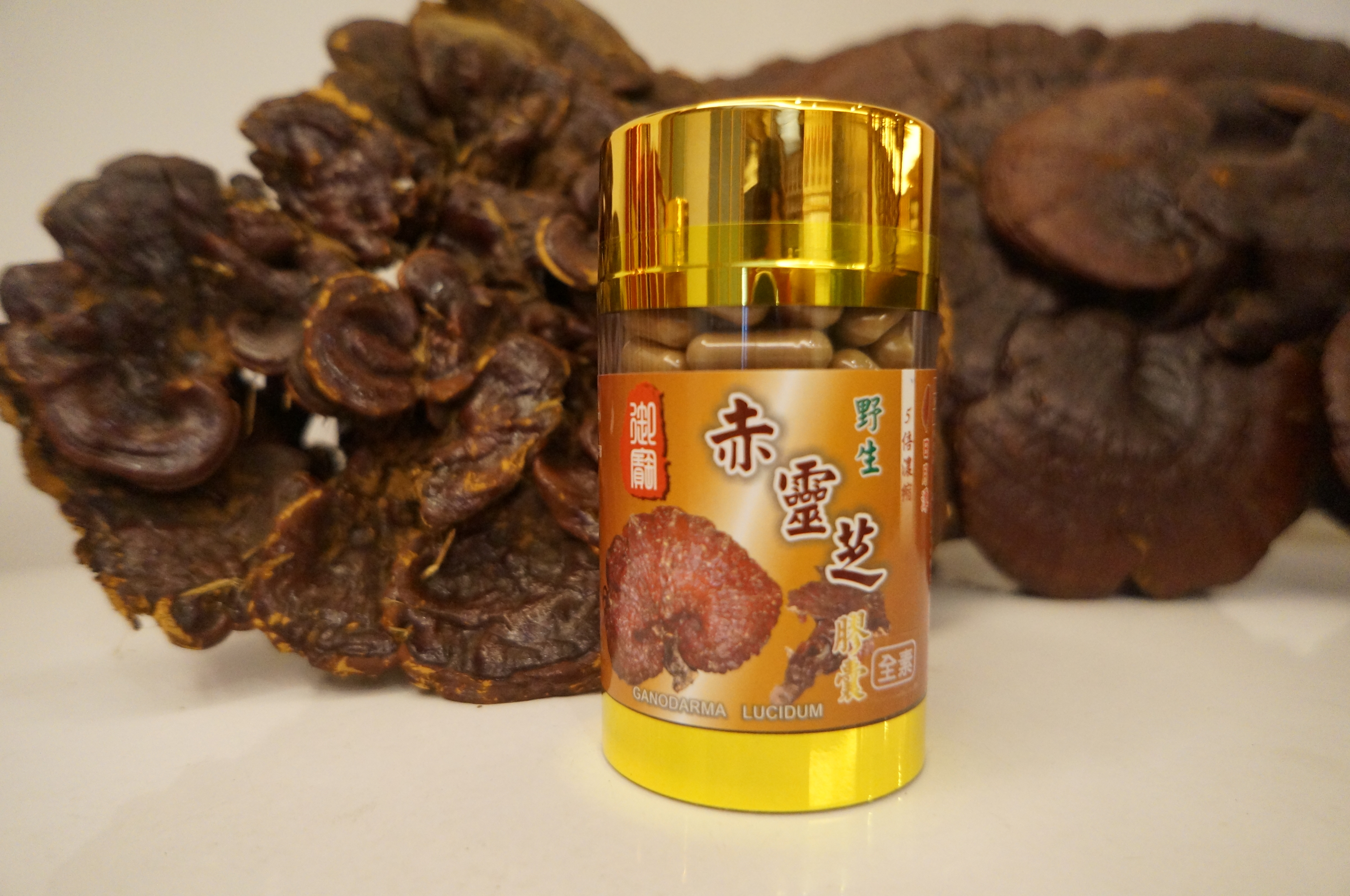 野生赤靈芝膠囊 (中)