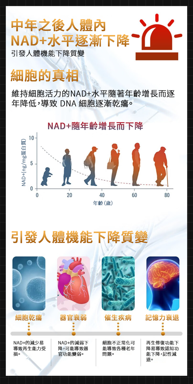 【 Spruce Nutrition 】特強  NMN + MAPK + PS 三合一配方 NMN 12000｜60 粒裝（美國原裝行貨）中年之後人體內