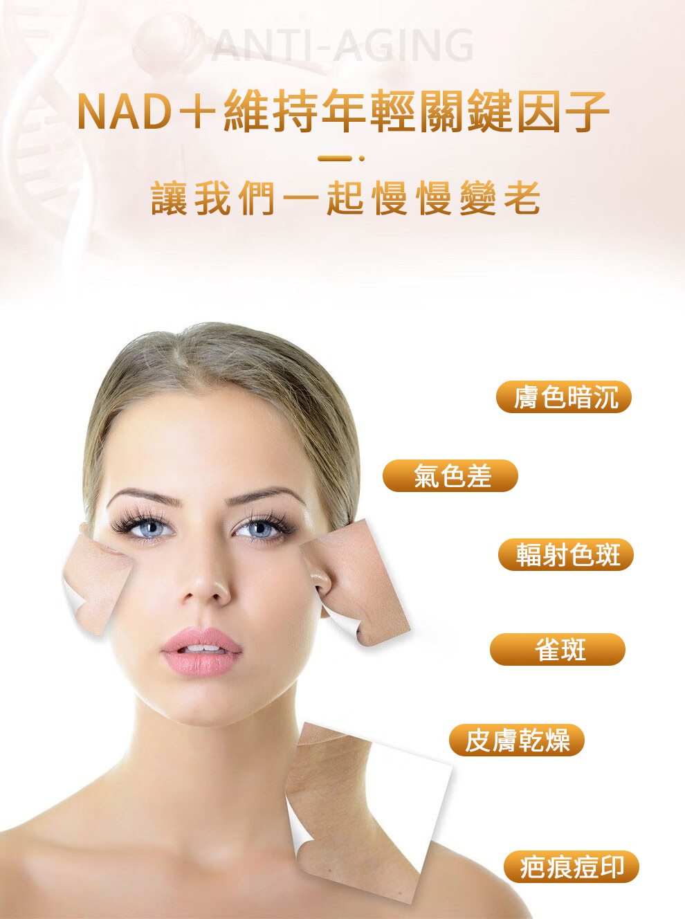 【 Spruce Nutrition 】特強  NMN + MAPK + PS 三合一配方 NMN 12000｜60 粒裝（美國原裝行貨）NAD＋維持年輕關鍵因子