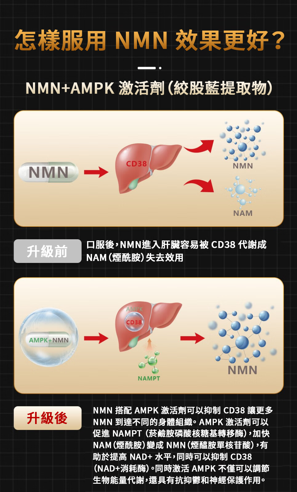 【 Spruce Nutrition 】特強  NMN + MAPK + PS 三合一配方 NMN 12000｜60 粒裝（美國原裝行貨）怎樣服用 NMN 效果更好？