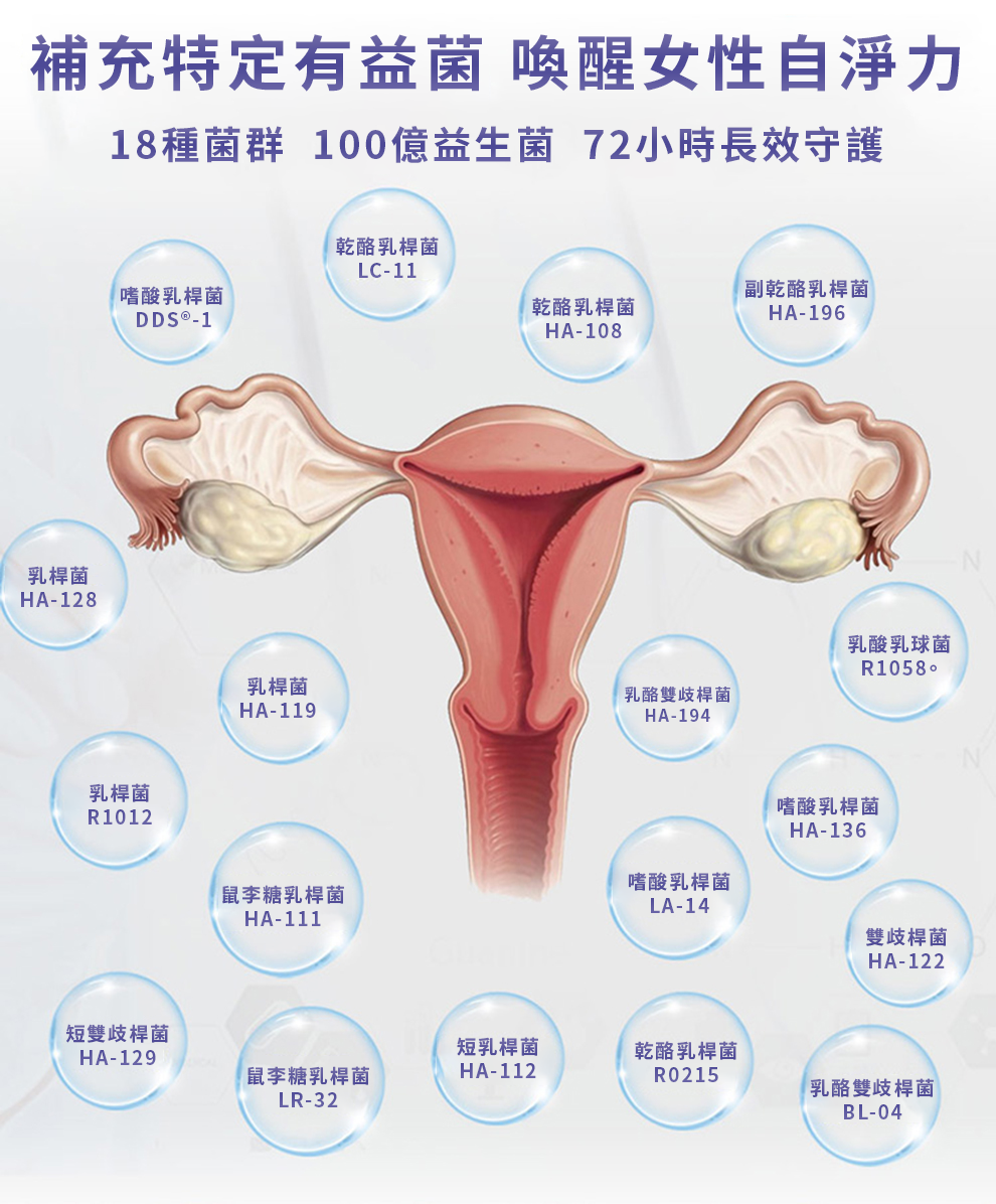 【 Spruce Nutrition 】蔓越莓 女性益生菌｜30 粒裝（美國原裝行貨）詳細資料