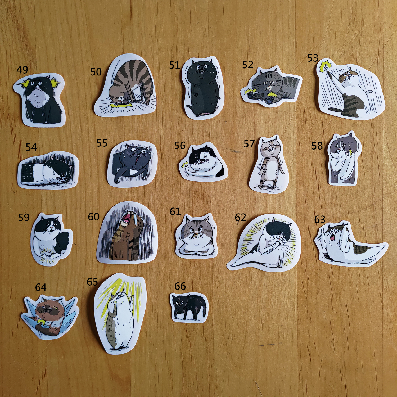 【ehcat貓室友】貓似顏防水透明貼紙 part2