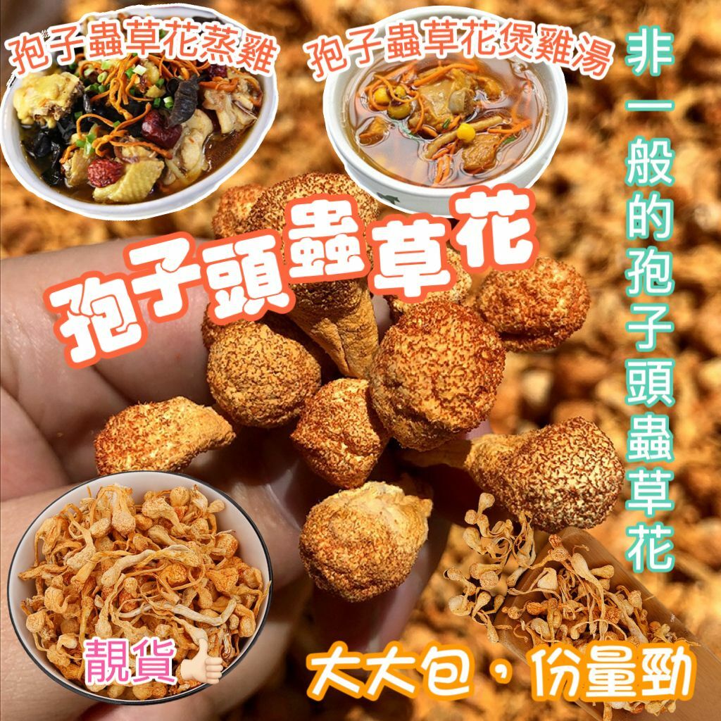 頂級大孢子頭蟲草花300g