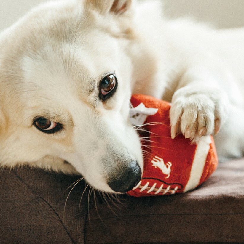 P.L.A.Y.  Back to School Collection - Fido's Football