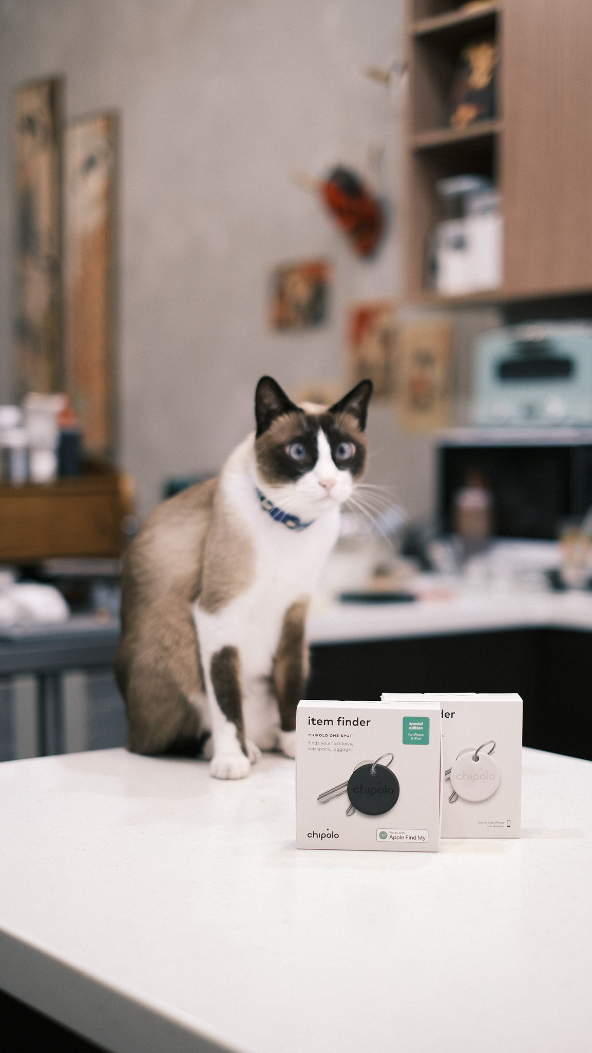 貳喵珈琲 Twomi Coffee