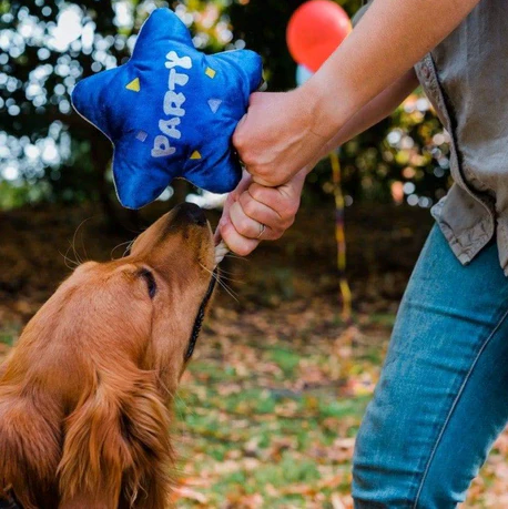 P.L.A.Y.  Party Time - Blue Star Balloon