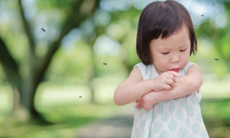 為什麼蚊子愛嫩嬰？3大止癢方法，解決寶寶蚊子咬！