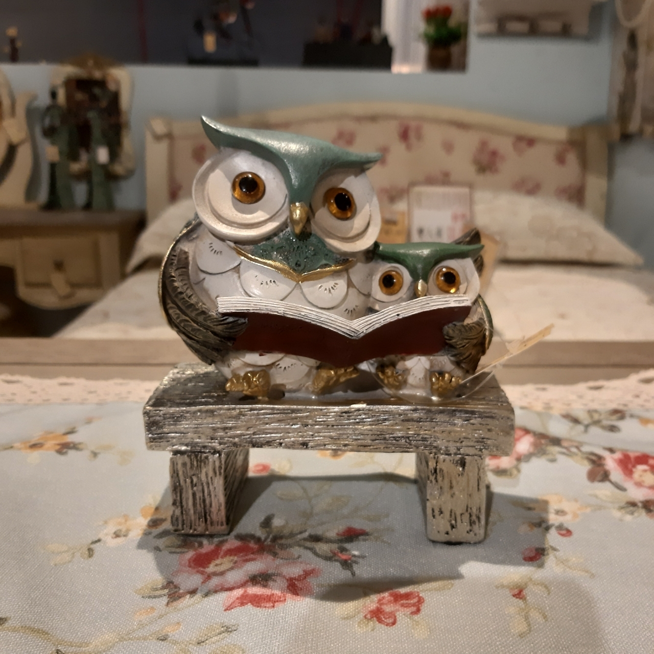 親子貓頭鷹看書