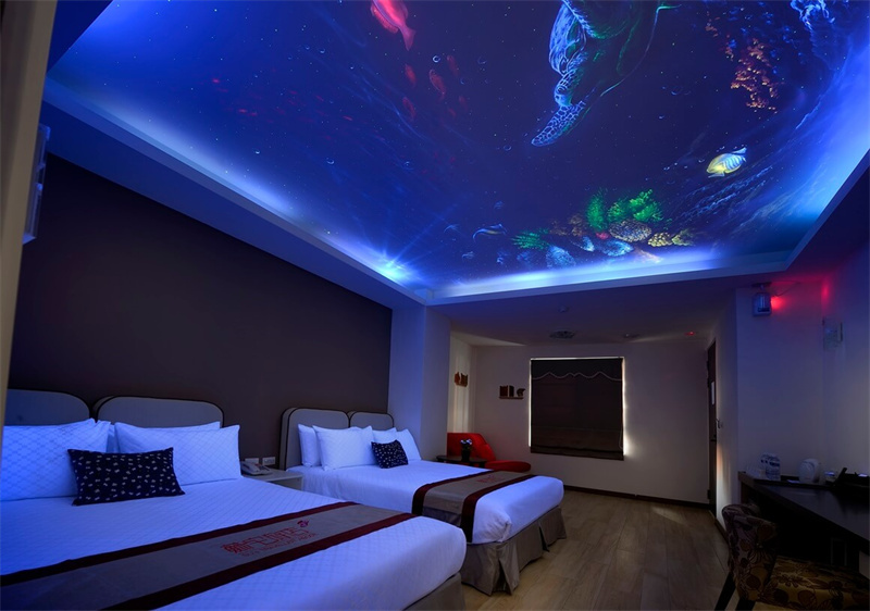 海龜夜空四人房