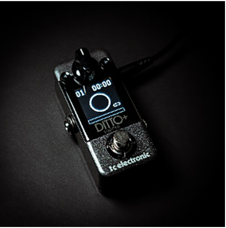 TC Electronic DITTO+ LOOPER Guitar PEDAL 電結他效果器