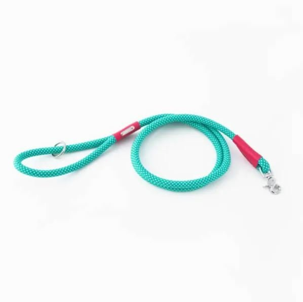 Zippy Paws - Mod Essential Leash - Teal