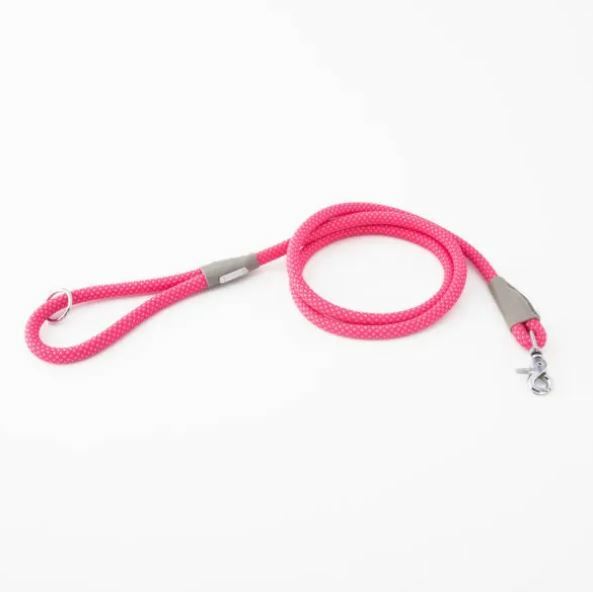 Zippy Paws - Mod Essential Leash - Pink