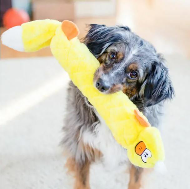 Zippy Paws - Jigglerz® - Duck