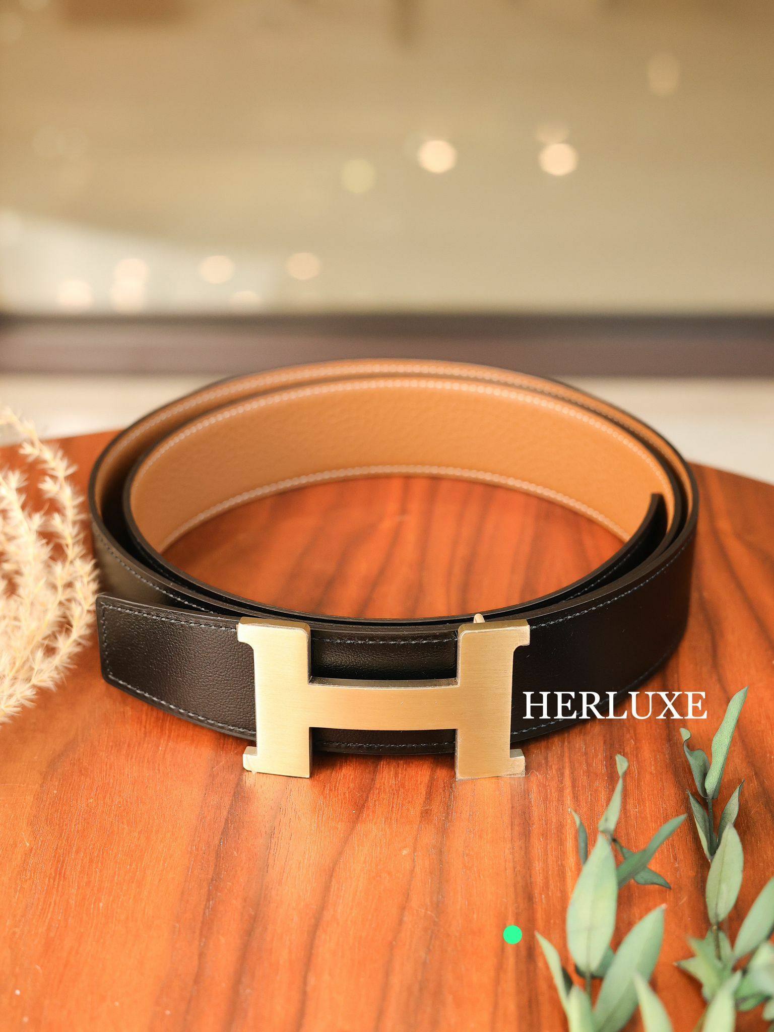 Constance platine / or brossé belt 38mm CC (可選擇皮帶顏色及長度