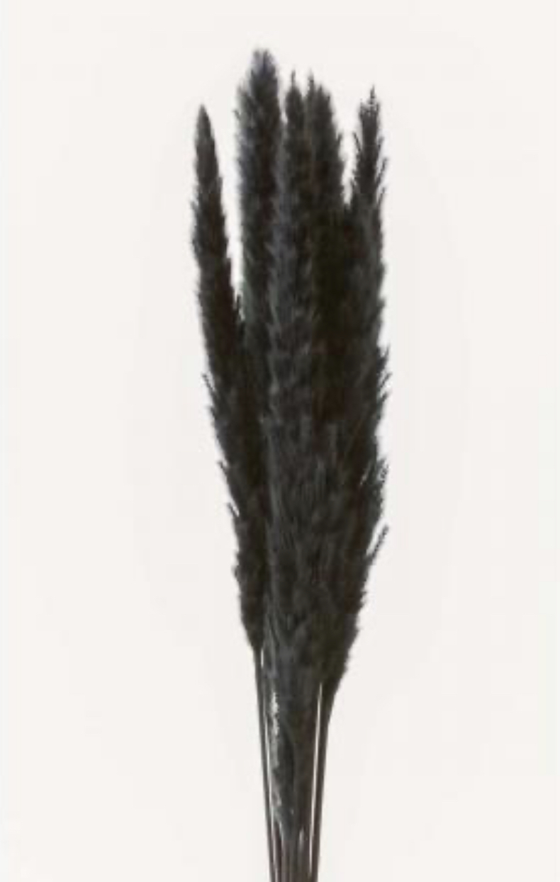 日本乾燥芒草 51340-890