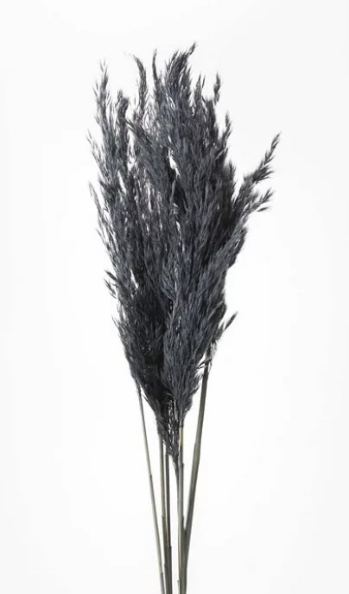 日本乾燥芒草 51320-751