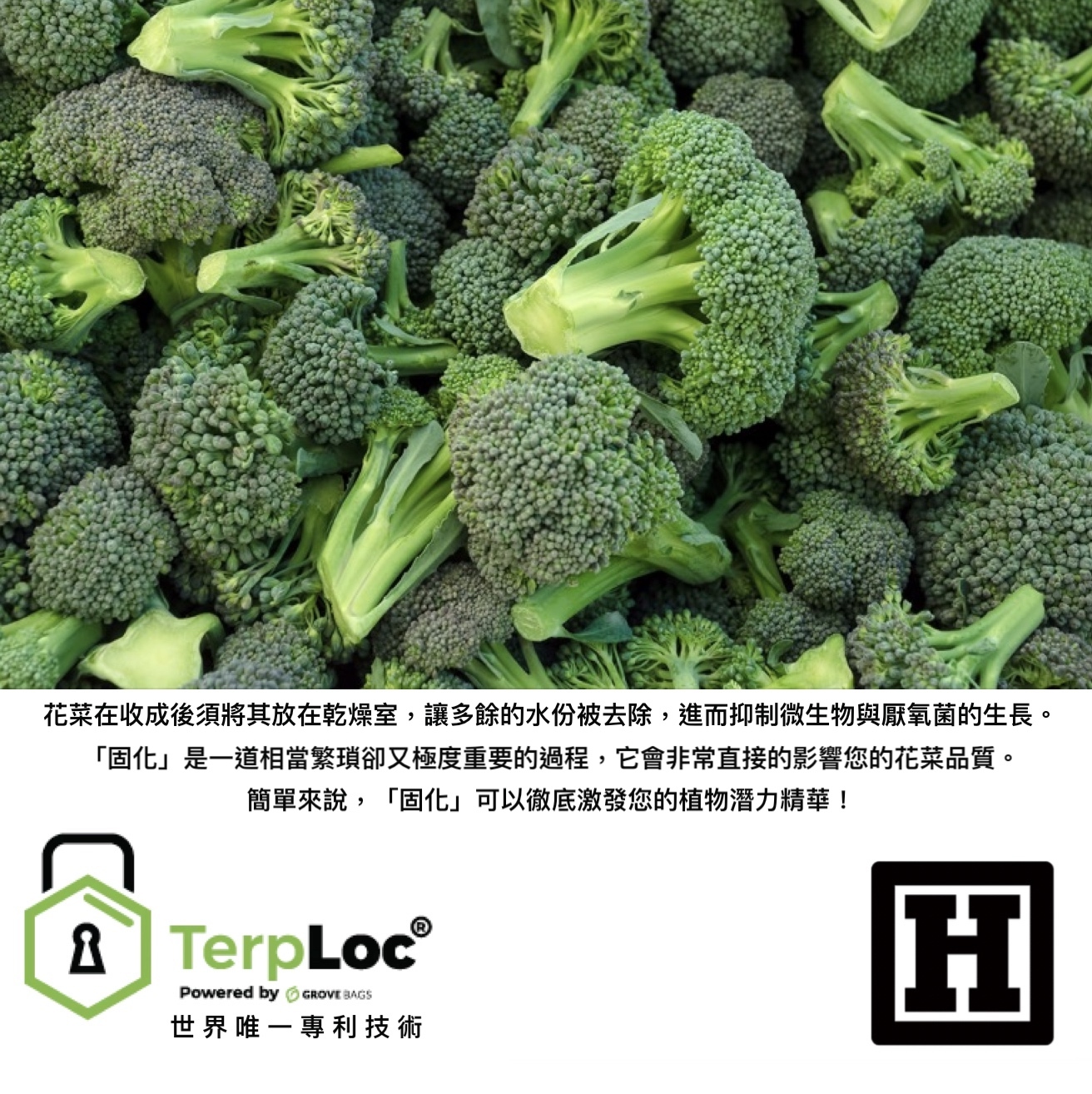 Grove Bags 固化儲存袋 「 TerpLoc® 專利技術 」