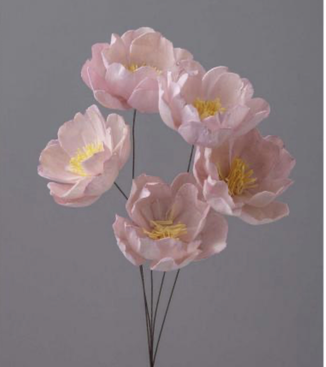 日本花索拉牡丹32700-100 