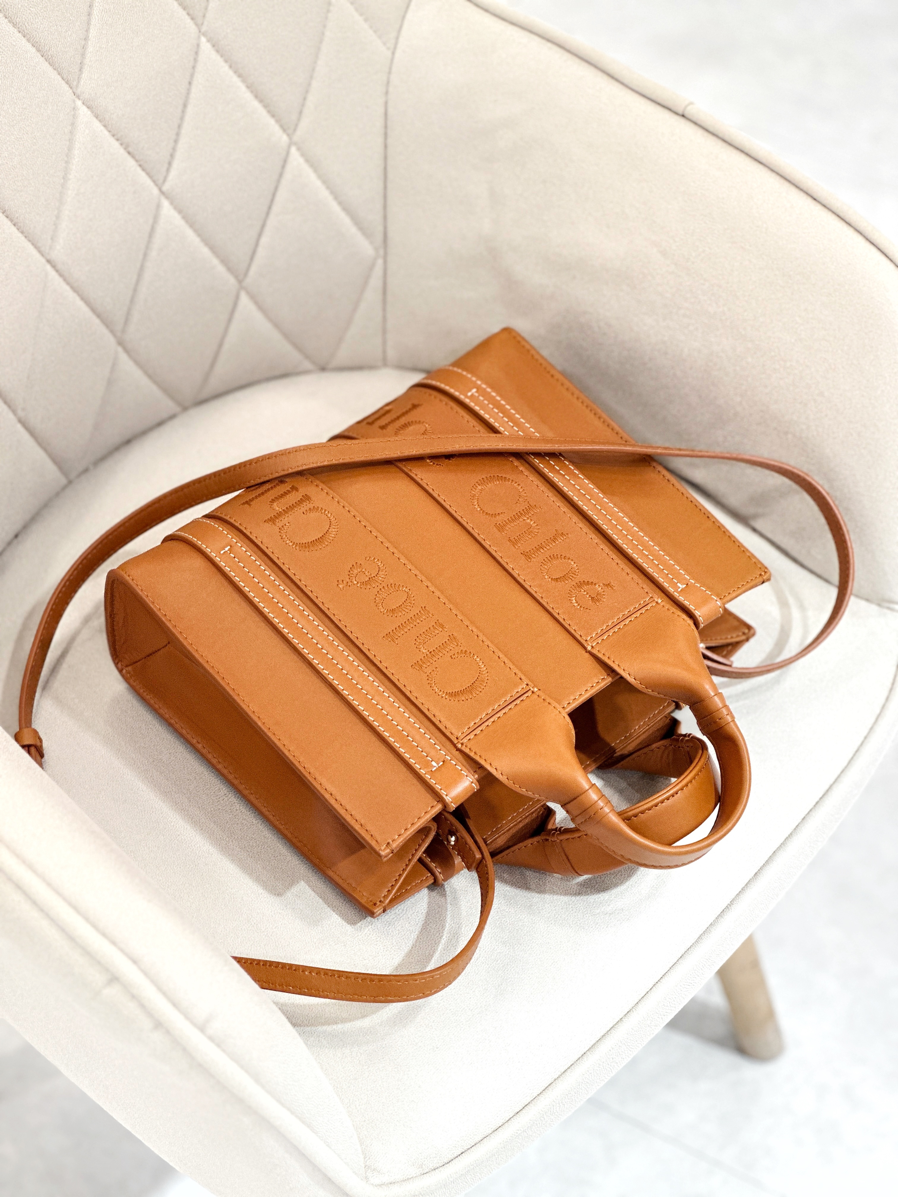 CHLOE Woody Small Tote in Calfskin
