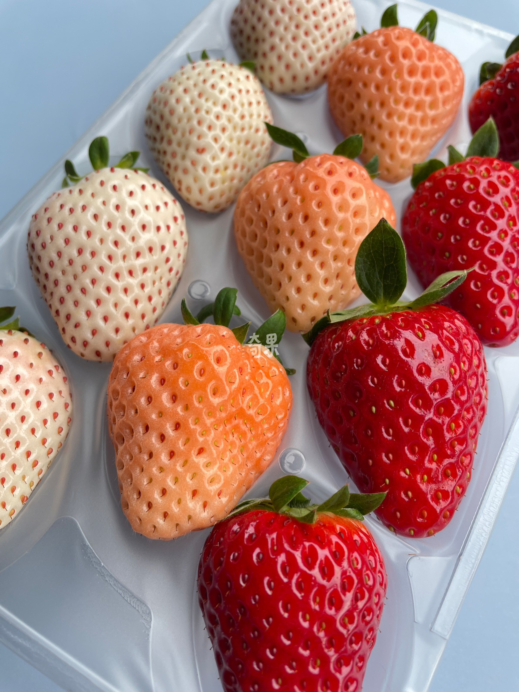 奇果｜奈良 夢幻逸品 三色草莓