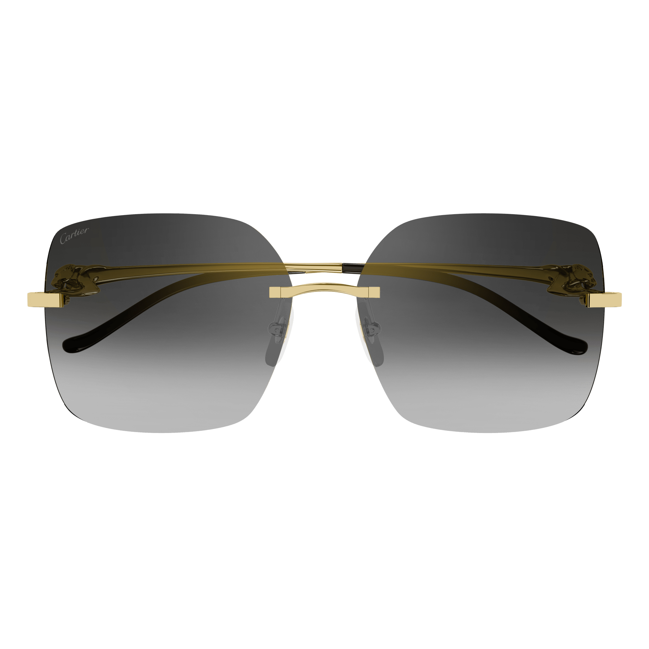 Cartier - CT0359S／001
