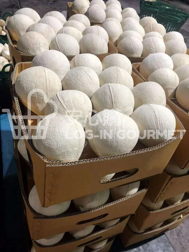 泰國新鮮椰皇(個)