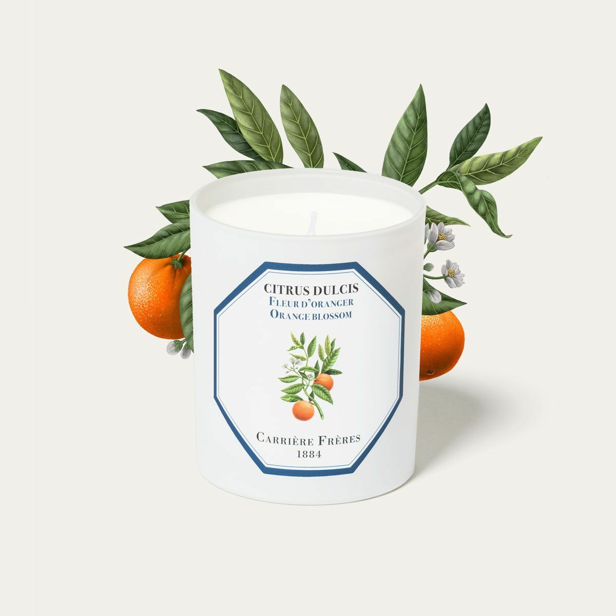 Orange Blossom 橙花 香氛蠟燭 - Carrière Frères
