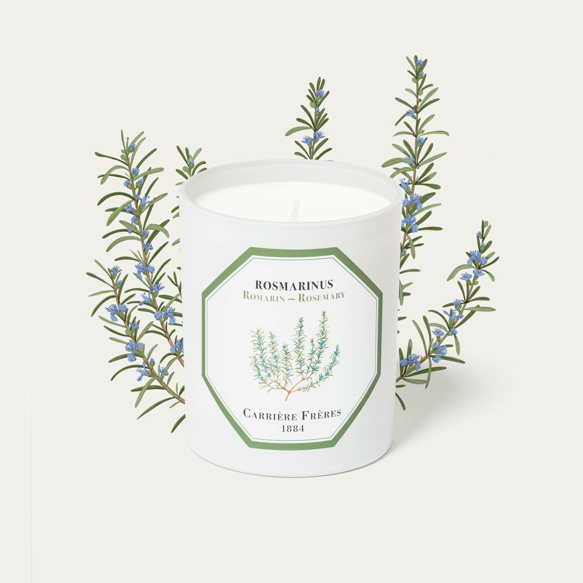 ROSEMARY 迷迭香 香氛蠟燭 - Carrière Frères