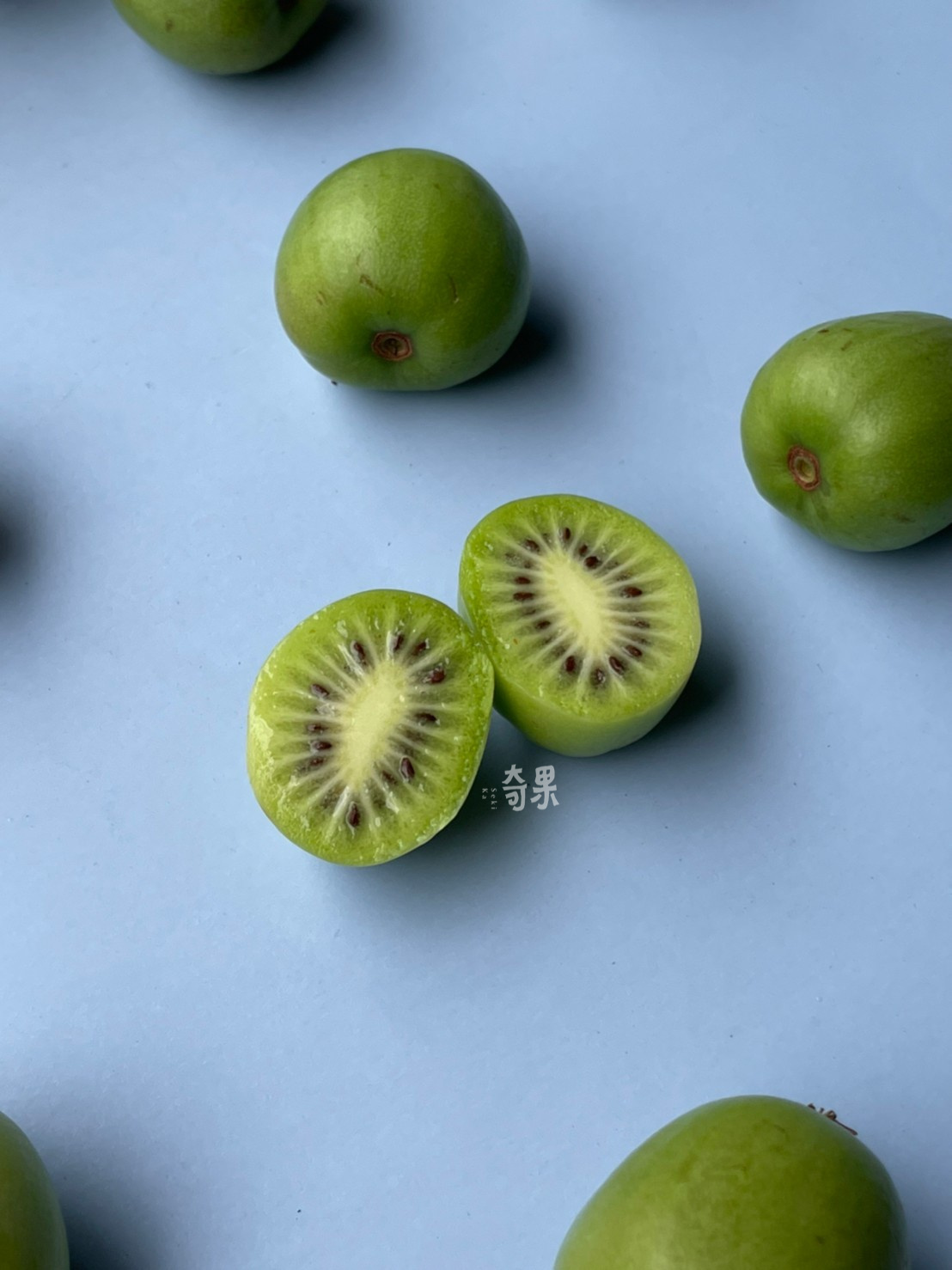 奇果｜紐西蘭 Kiwiberry奇異莓