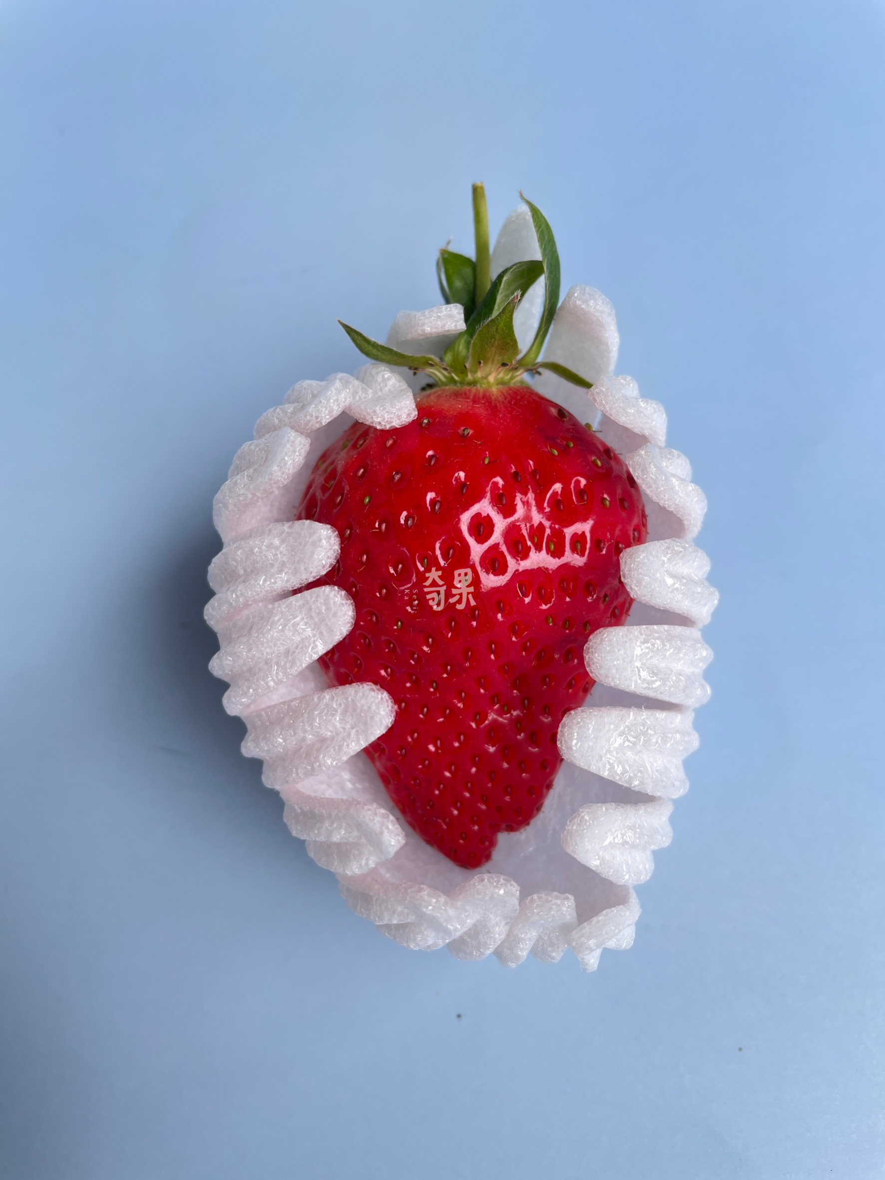 奇果｜德島 勝占糖蜜草莓