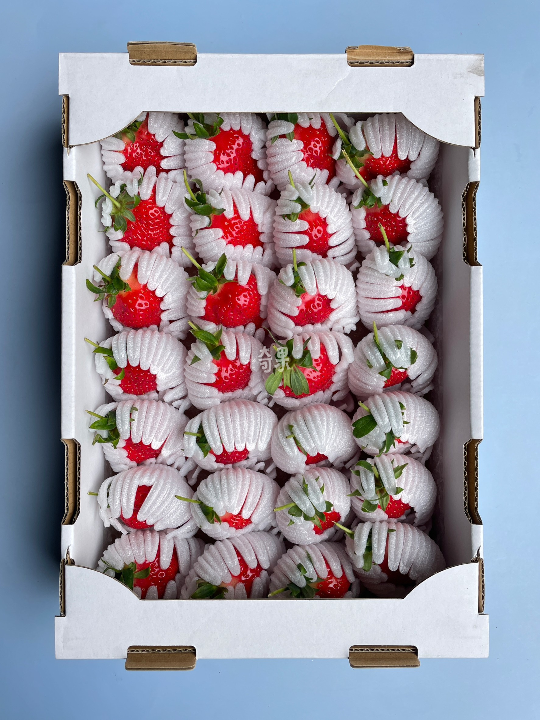 奇果｜德島 勝占糖蜜草莓