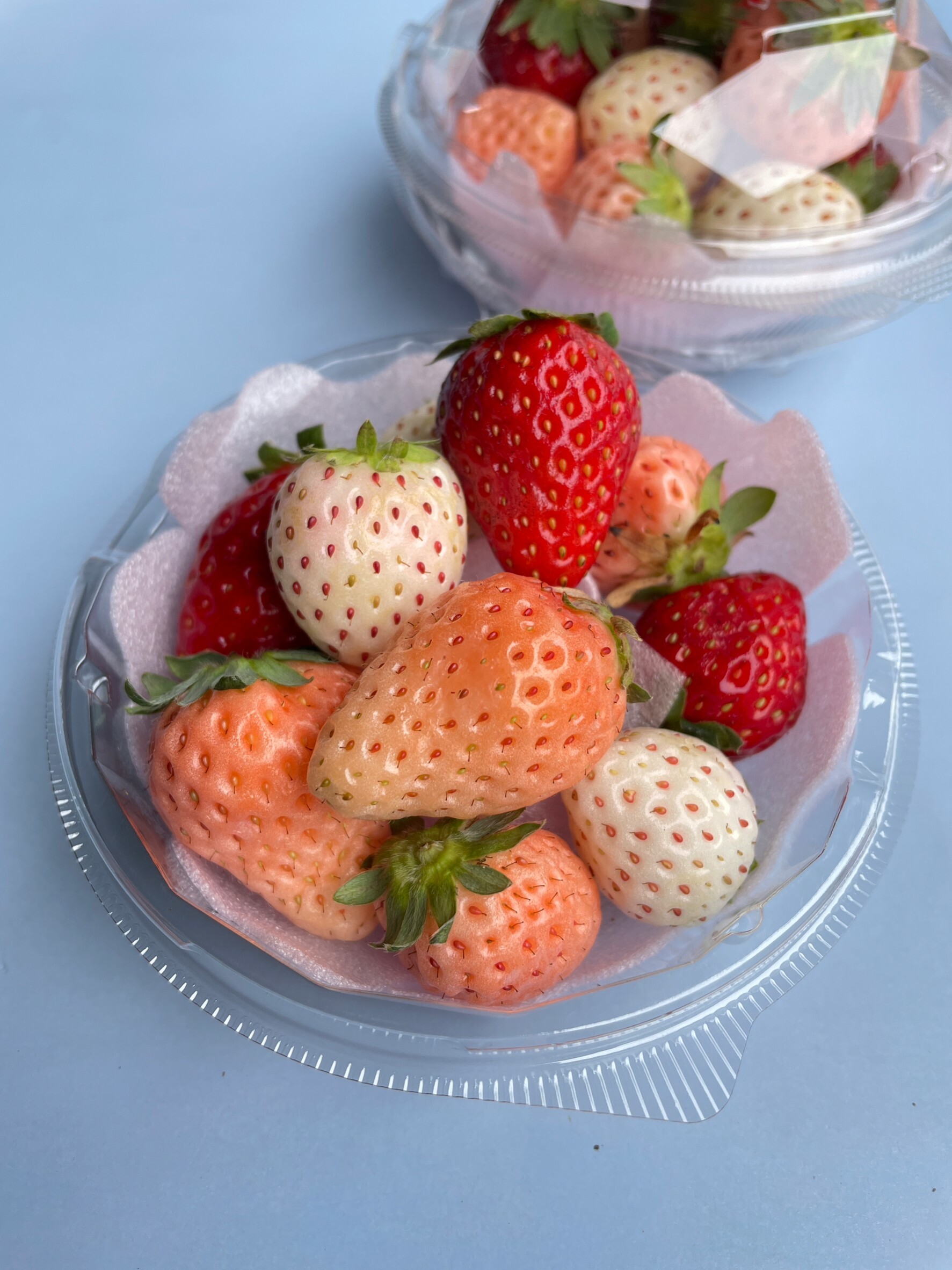 奇果｜奈良 三色草莓 圓盒