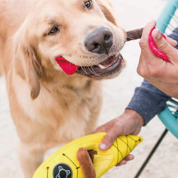 P.L.A.Y.  Camp Corbin Collection -  K9 Kayak