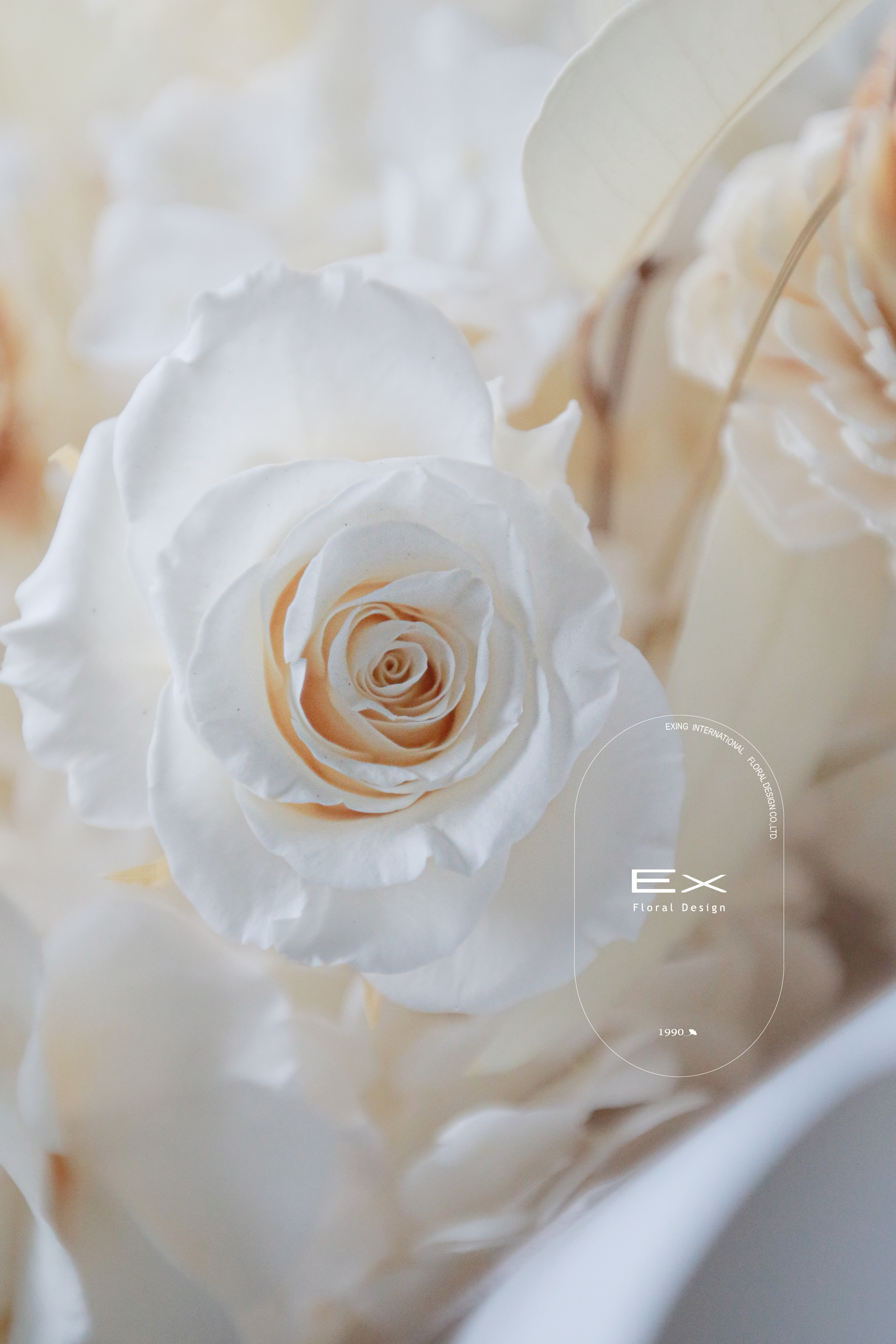 愛格妮絲  花束款〈永生花〉