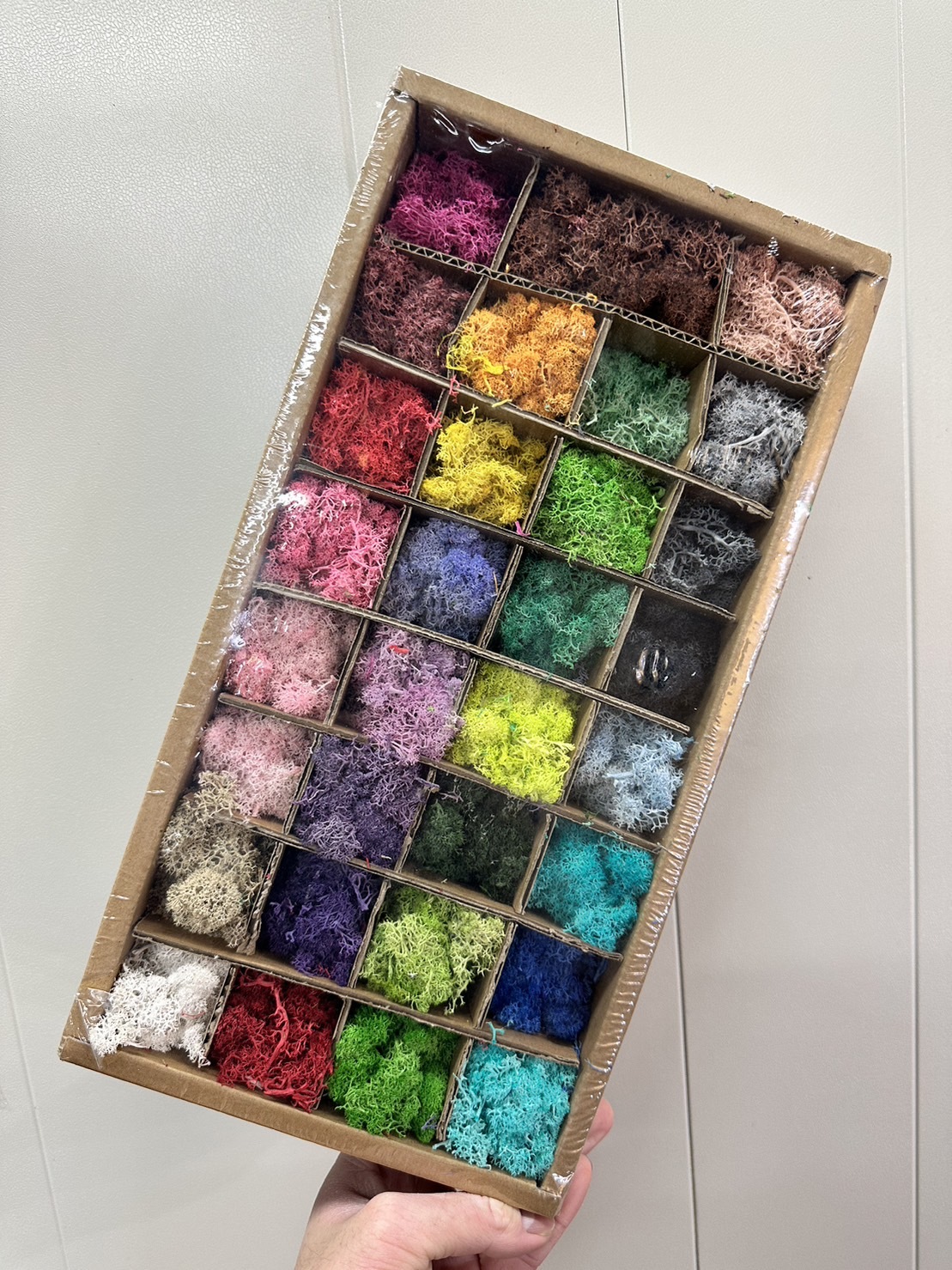 不凋水草(苔蘚) 250g