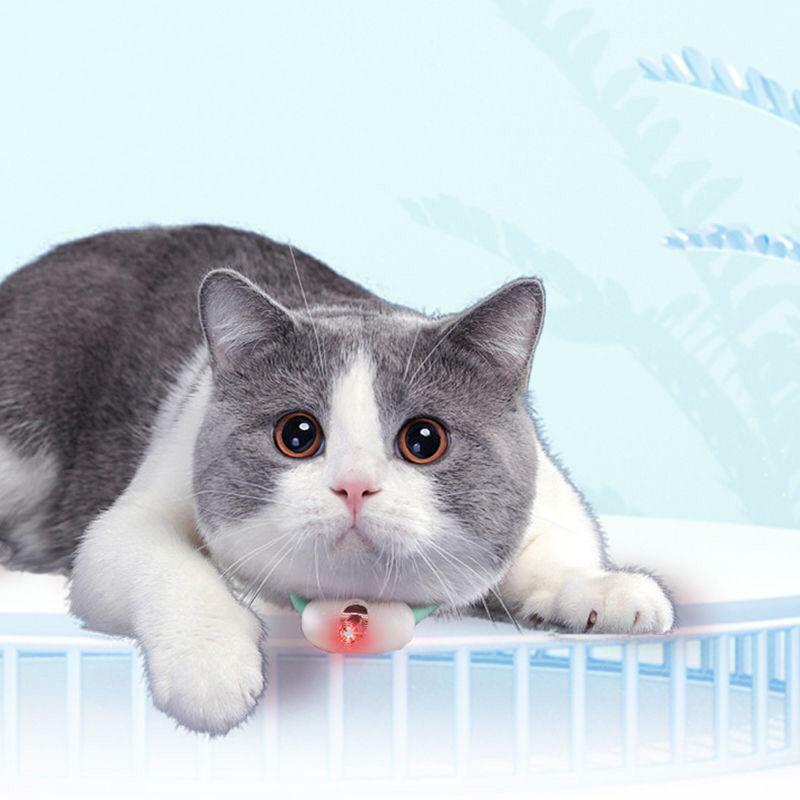 智能激光貓貓圈