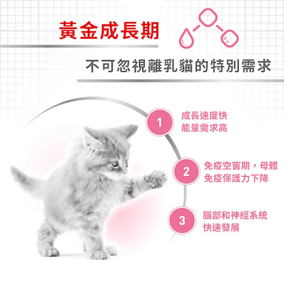 Royal Canin BB 貓配方 BA34 - 2kg / 4kg