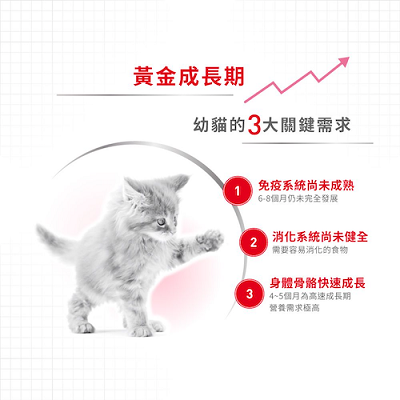 Royal Canin 幼貓配方K36 - 2kg / 4kg / 10kg