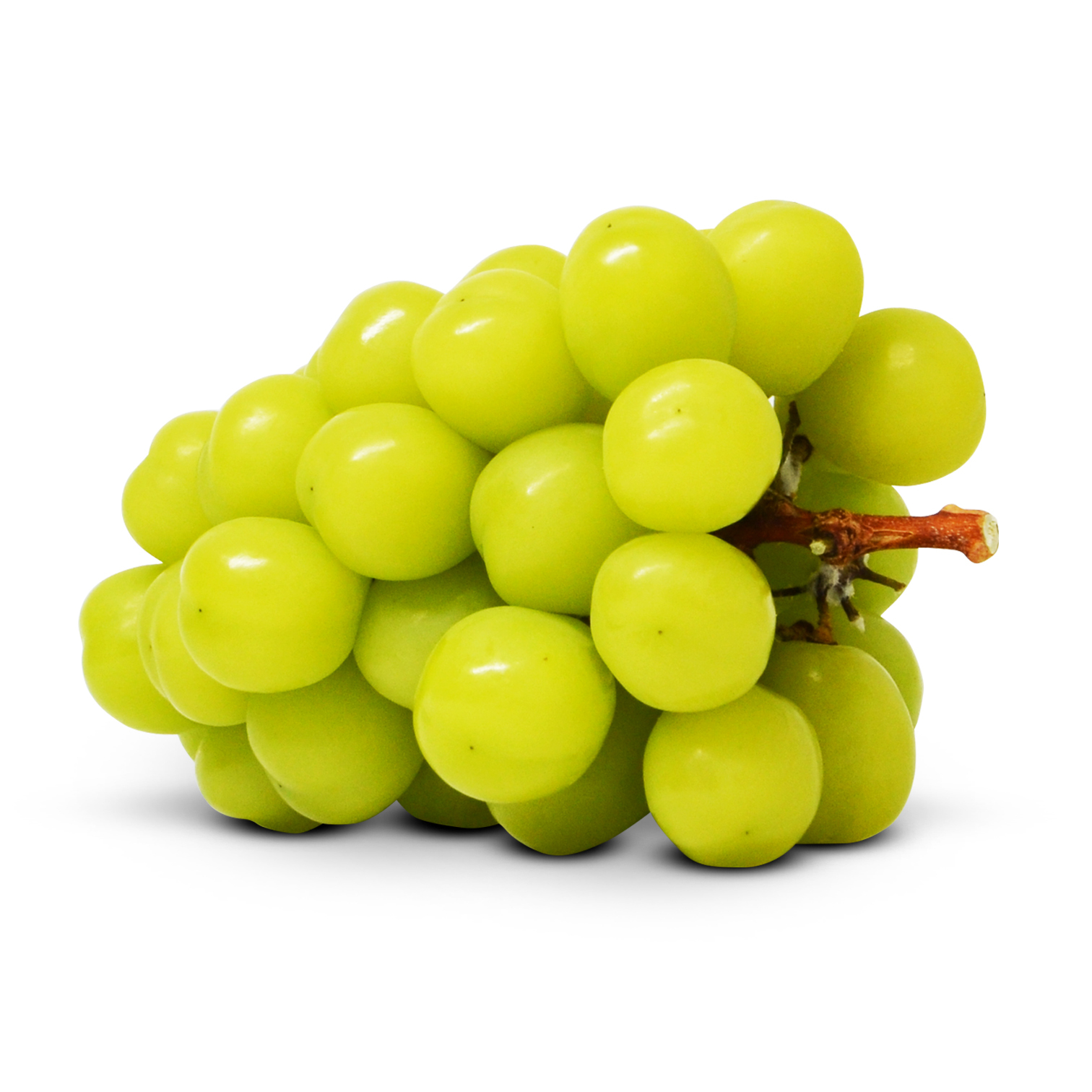 中國 香印提子 [1束|大裝]